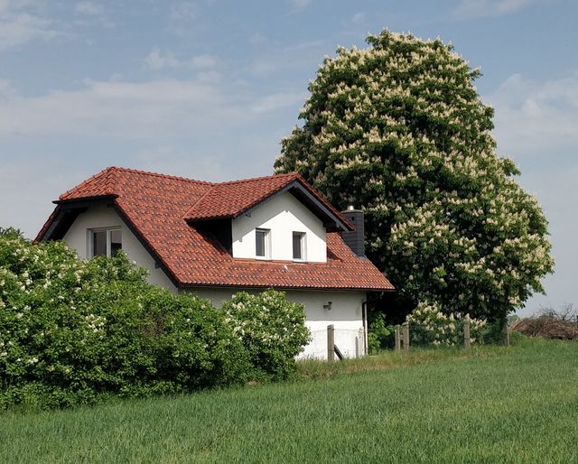 rodinný dom